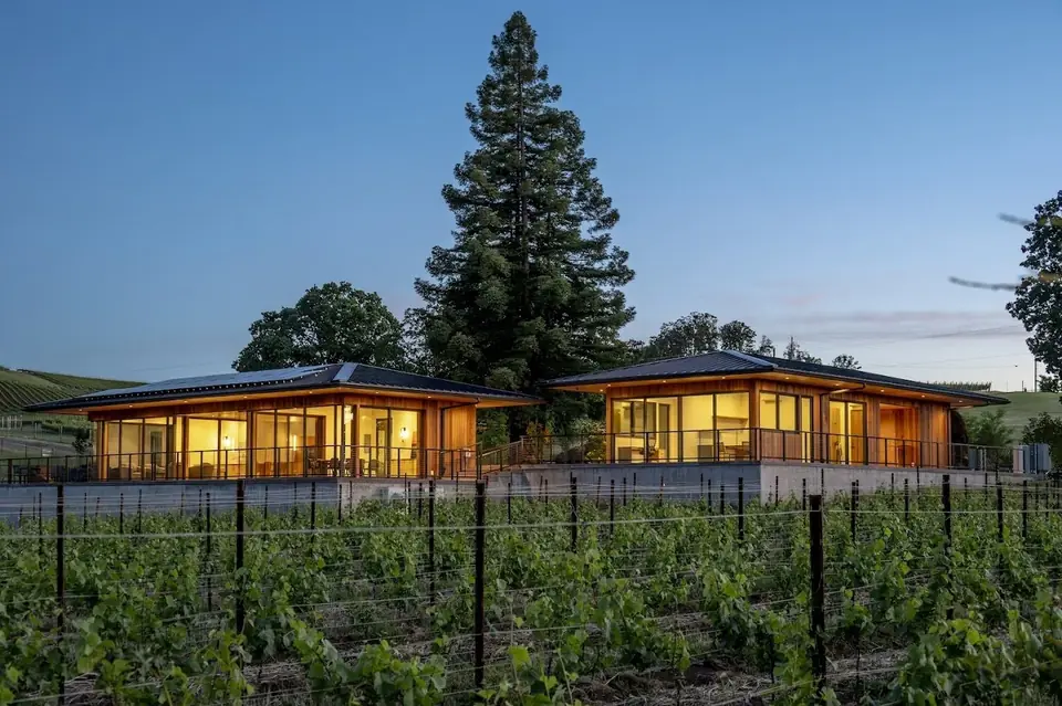 Tasting room among the vines